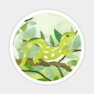 Green little gecko Magnet